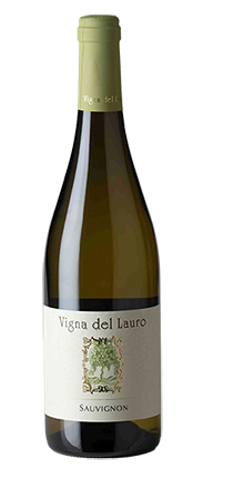 Sauvignon Collio DOP 2025