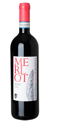 Merlot Colli Euganei DOC 2024