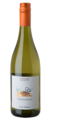 Verdicchio Castelli Jesi DOC Sté 2023