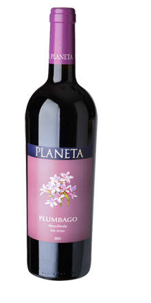 Sicilia Menfi Nero d` Avola DOC Plumbago 2022