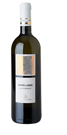 Molise Falanghina DOC Campo in Mare 2023