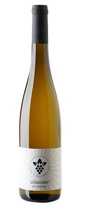 Dürkheim 1C Riesling 2024