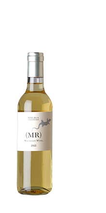Malaga 2023 - bis 28.5.25: 17,52 € statt 21,90 €