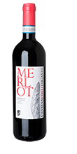 Merlot Colli Euganei DOC 2025