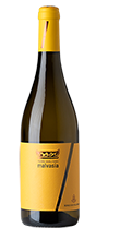 Malvasia Terre degli Osci IGT 2024