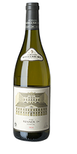 Grüner Veltliner Kamptal Renner Erste Lage 2017