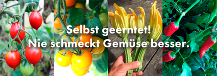 Pflänzchen - Ab 22.4. in den Münchner GARIBALDI-Läden